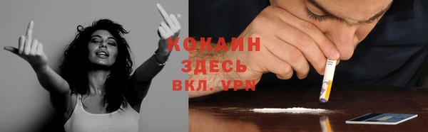 соль курить ск Абаза