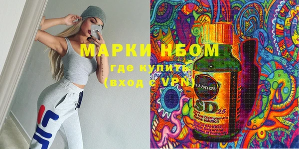 шишки Алексин