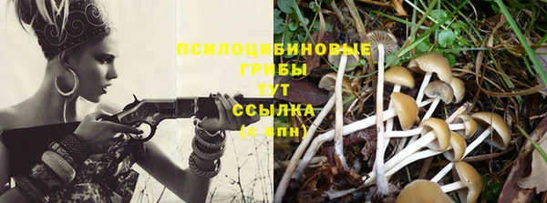 шишки Алексин
