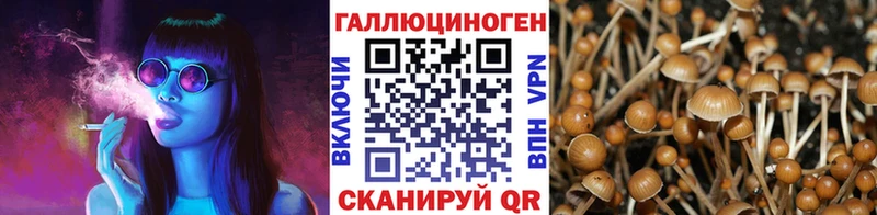 цены наркотик  Кингисепп  Галлюциногенные грибы мухоморы 