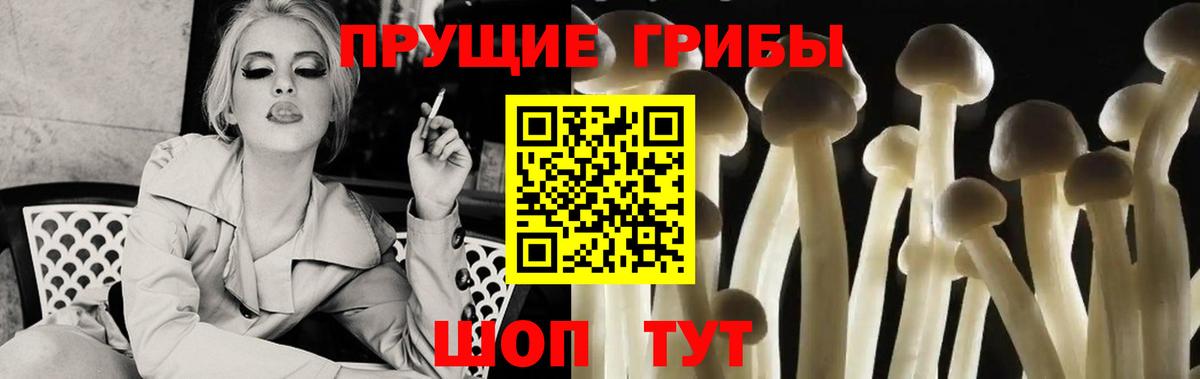 Псилоцибиновые грибы мухоморы Кингисепп