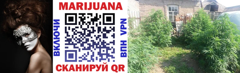 хочу Кингисепп Шишки марихуана LSD WEED